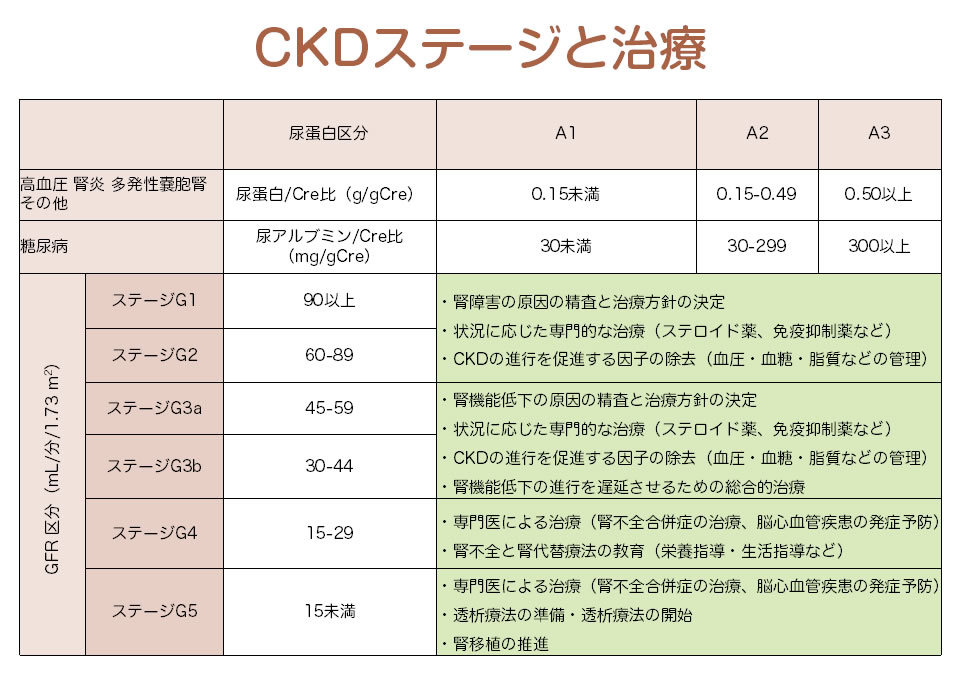 CKDステージと治療